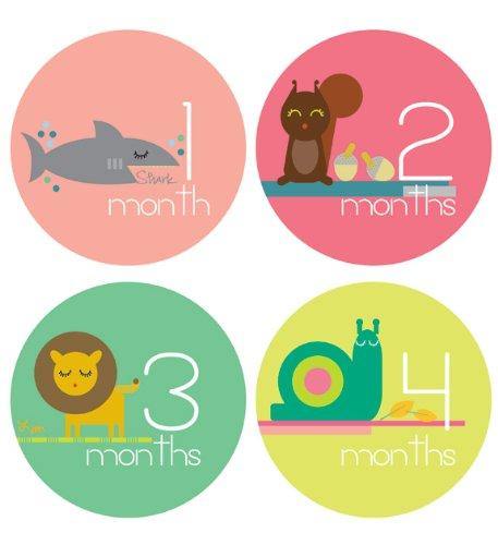 Lucy Darling - Zoo Animals Theme Monthly Milestone Baby Stickers - Charlarue Kids Retail