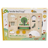 Tender Leaf Toys - Weather Watch