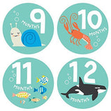 Lucy Darling - Snorkeling Adventure Pregnancy / Baby Growth Stickers, Months 1-12 - Charlarue Kids Retail