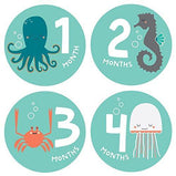 Lucy Darling - Snorkeling Adventure Pregnancy / Baby Growth Stickers, Months 1-12 - Charlarue Kids Retail