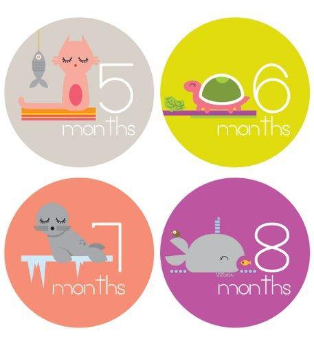 Lucy Darling - Zoo Animals Theme Monthly Milestone Baby Stickers - Charlarue Kids Retail