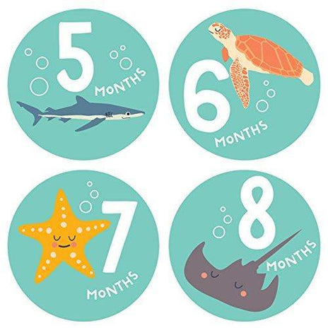 Lucy Darling - Snorkeling Adventure Pregnancy / Baby Growth Stickers, Months 1-12 - Charlarue Kids Retail